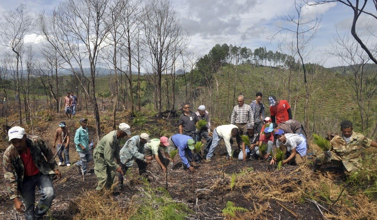 Las ONG piden recursos por RD$3,100 millones