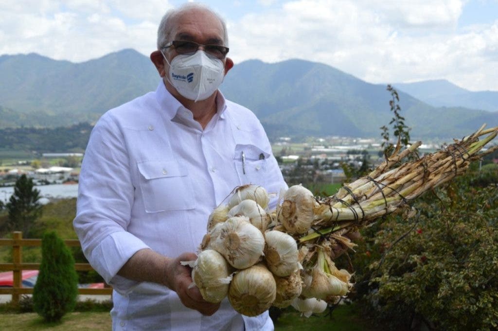 Fernando Duran administrador del Bagricola y productores de ajos de Constanza satisfechos con la calidad del producto.