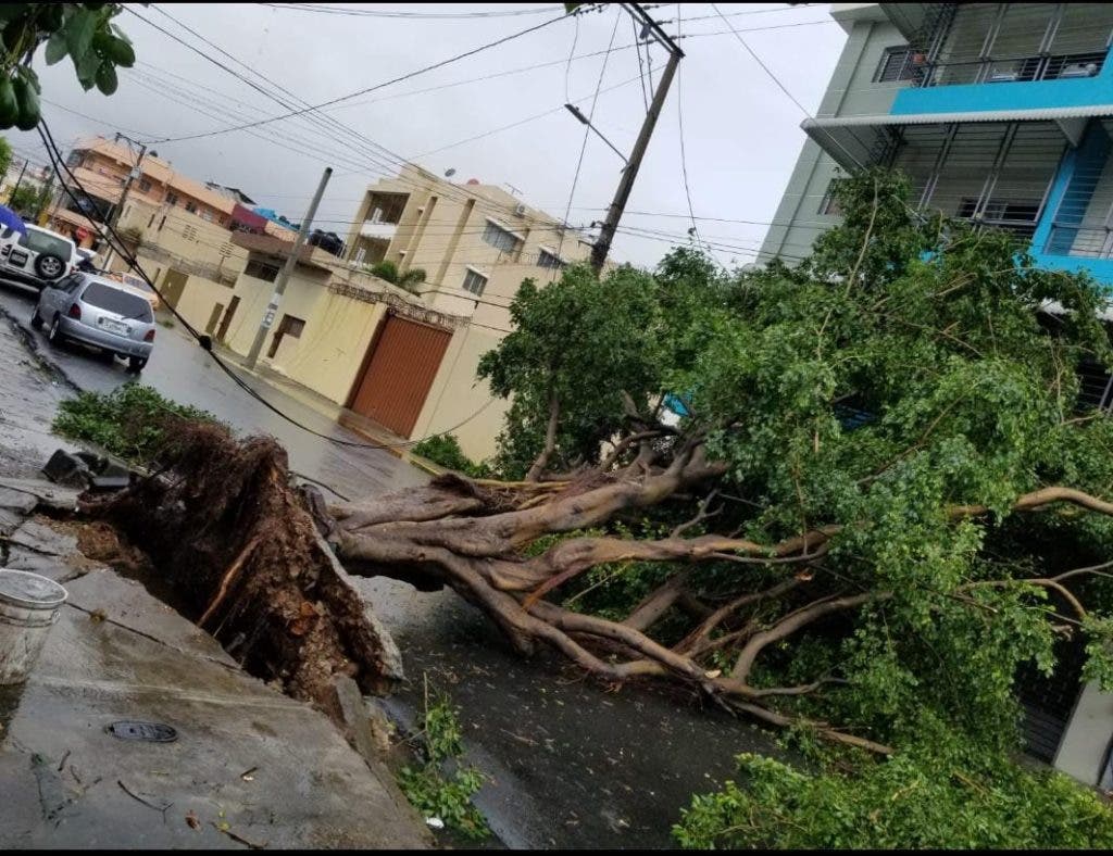 La tormenta Fred tumbo árboles e inundó calles y avenidas a su paso por República Dominicana.
