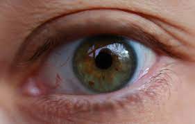 Fármaco mejora esperanza de vida a pacientes con cáncer de ojo