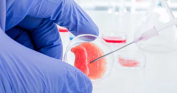 Debaten sobre cáncer y células madre