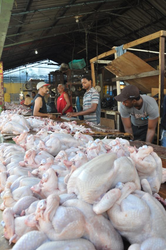 Garantizan suministro y precio carne de pollo
