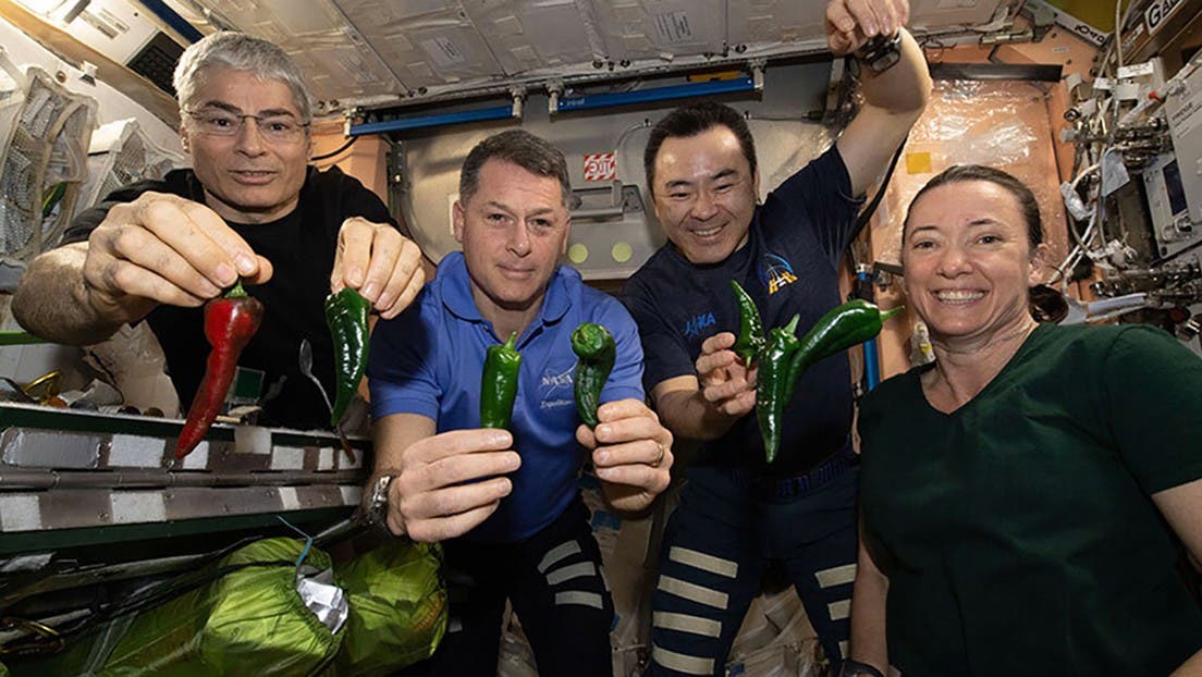 Los tripulantes de la Crew-2 comienzan su viaje de regreso a la Tierra