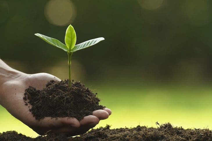 2021, el año que reactivó la ambición medioambiental