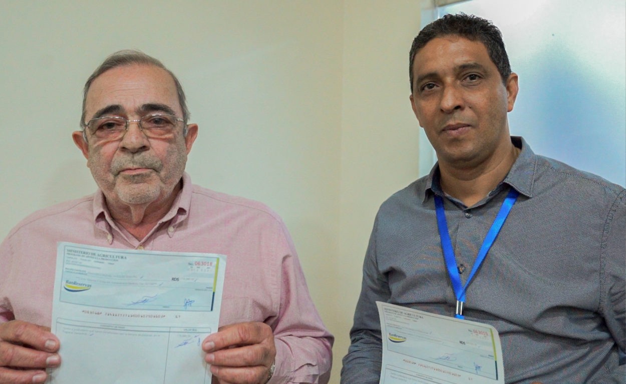 Gobierno paga RD$73.4 millones a productores de plátano