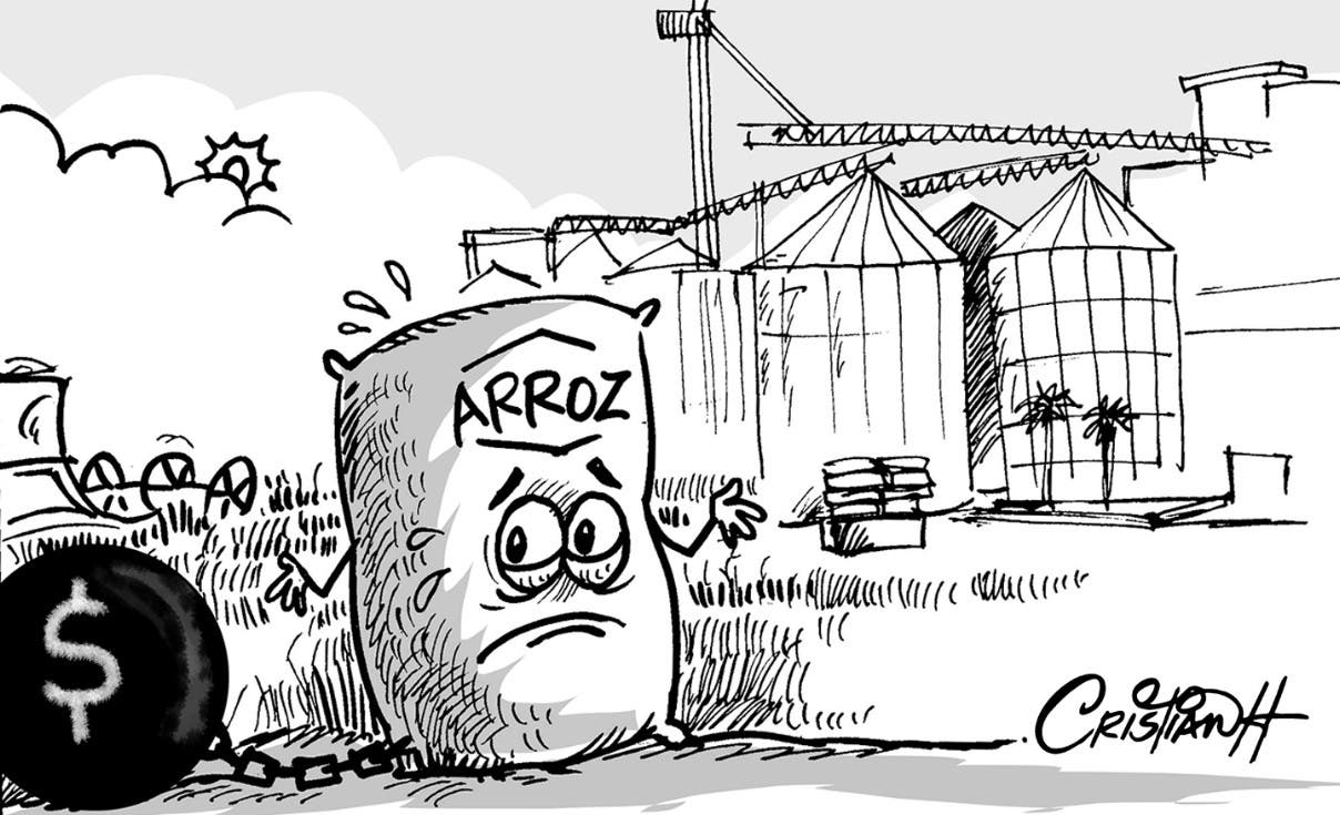 El arroz nuestro