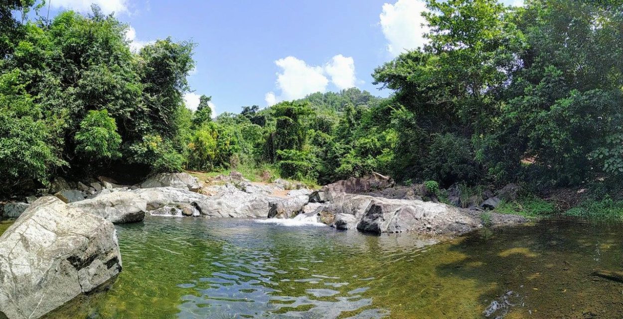 Celebran Día Mundial del Agua