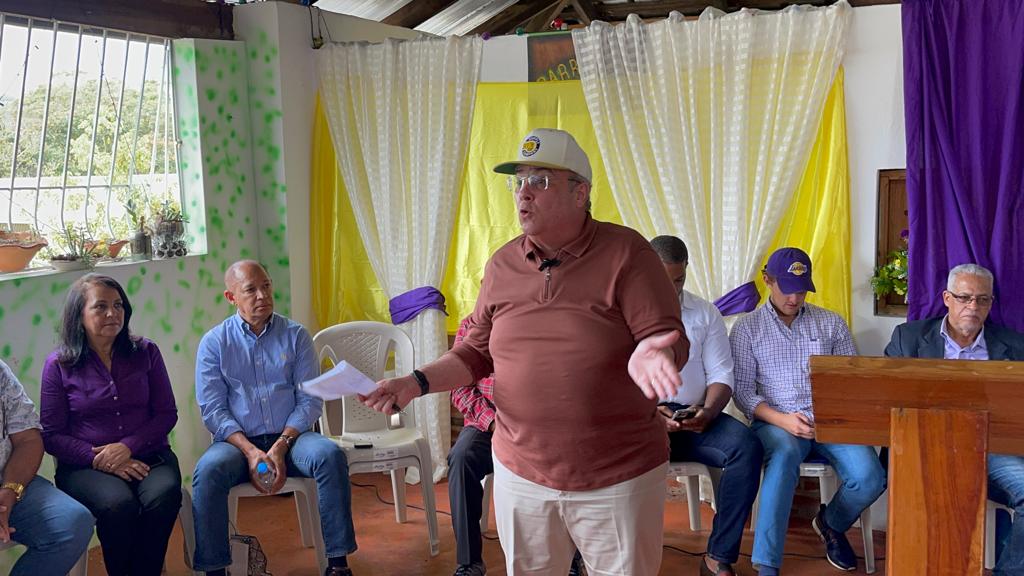 PLD denuncia desde el Gobierno buscan hacerle daño