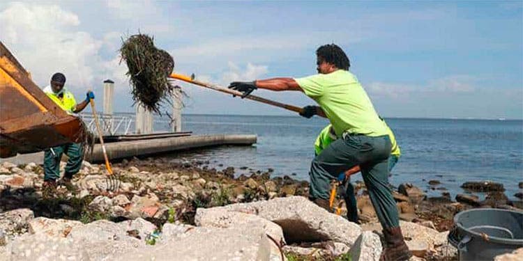 Hallan nexo entre marea roja y bajo nivel de oxígeno en costa oeste Florida
