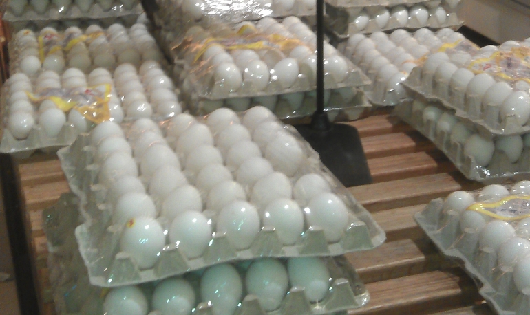 No establecen monto subsidio en venta huevos