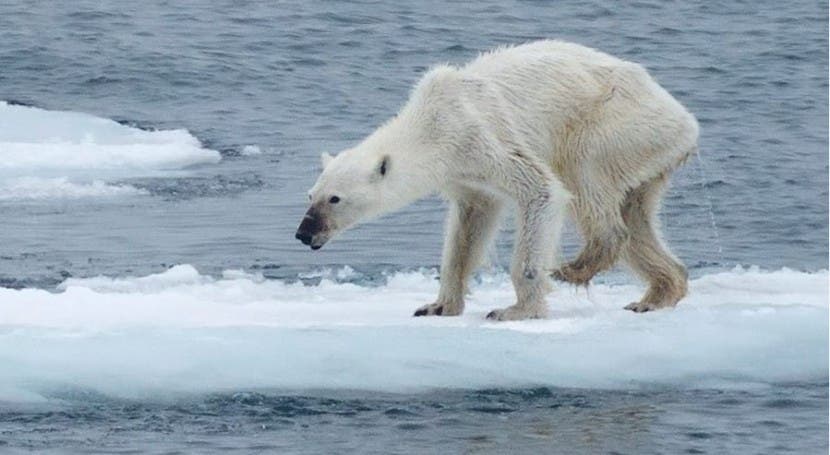 Cuatro indicadores clave cambio climático baten récords