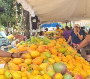 Experiencia Baní expo mango