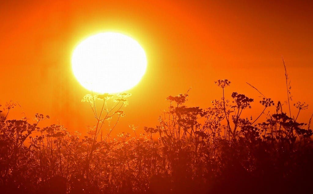 Advierten actual ola de calor es anticipo del futuro