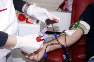 Como cada domingo: Dar sangre, dar vida