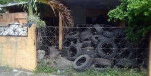 Incubadora de dengue
