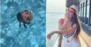 Viral: Thalía salva ratón se ahogaba en su piscina