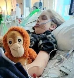 Rechazan pedido de llevar a hospicio niño británico en coma