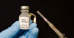 OMS recomienda tratamientos con anticuerpos contra ébola