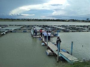 Especializan mujeres en la crianza de peces