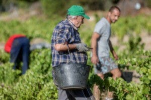 La incertidumbre y la inflación golpean agricultores en todo el mundo