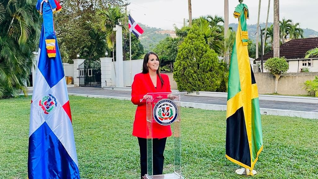 Embajada RD en Kingston lanza Red de Profesionales Dominicanos en Jamaica