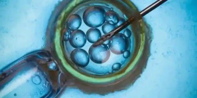 Tras cáncer, italiana queda embarazada con óvulos congelados hace 14 años