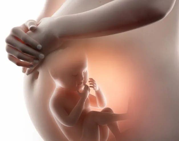 Tras cáncer, italiana queda embarazada con óvulos congelados hace 14 años