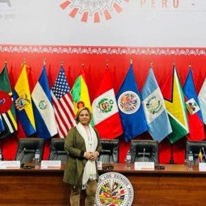 Diputada ratifica ante OEA compromiso RD con la vida