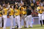 Licey, Escogido, Estrellas y Gigantes libran este domingo duelos claves en  béisbol dominicano