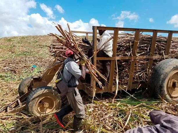 Estados Unidos invertirá tres millones de dólares en un proyecto destinado a encarar añejos problemas en la industria azucarera dominicana y aumentar la capacidad de los cañeros para mejorar sus condiciones laborales y de vida.