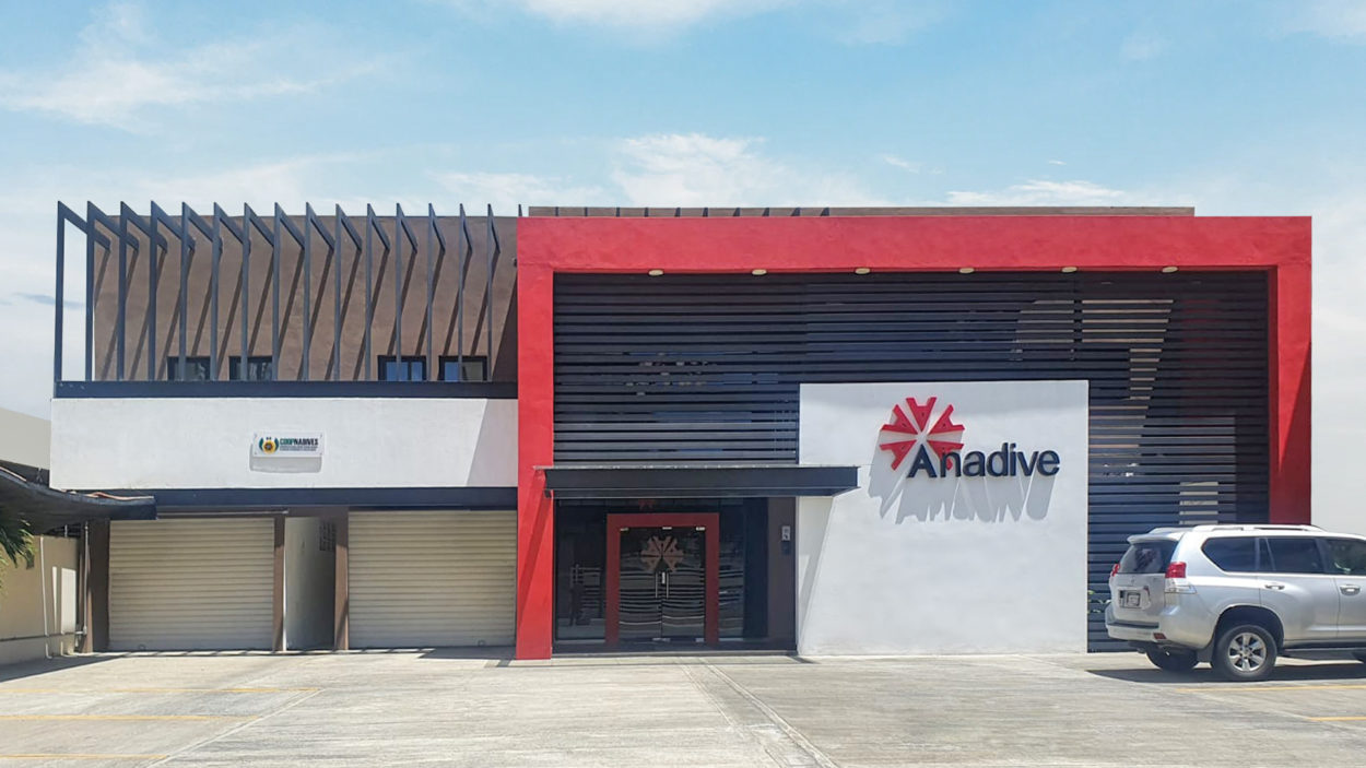 ANADIVE afirma campaña contra vehículos usados