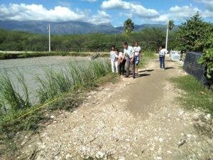Mujeres dirigen proyectos crianza de tilapia