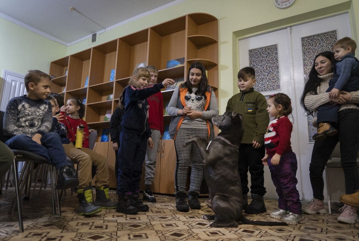 Niños traumatizados reciben terapia con perros en Ucrania