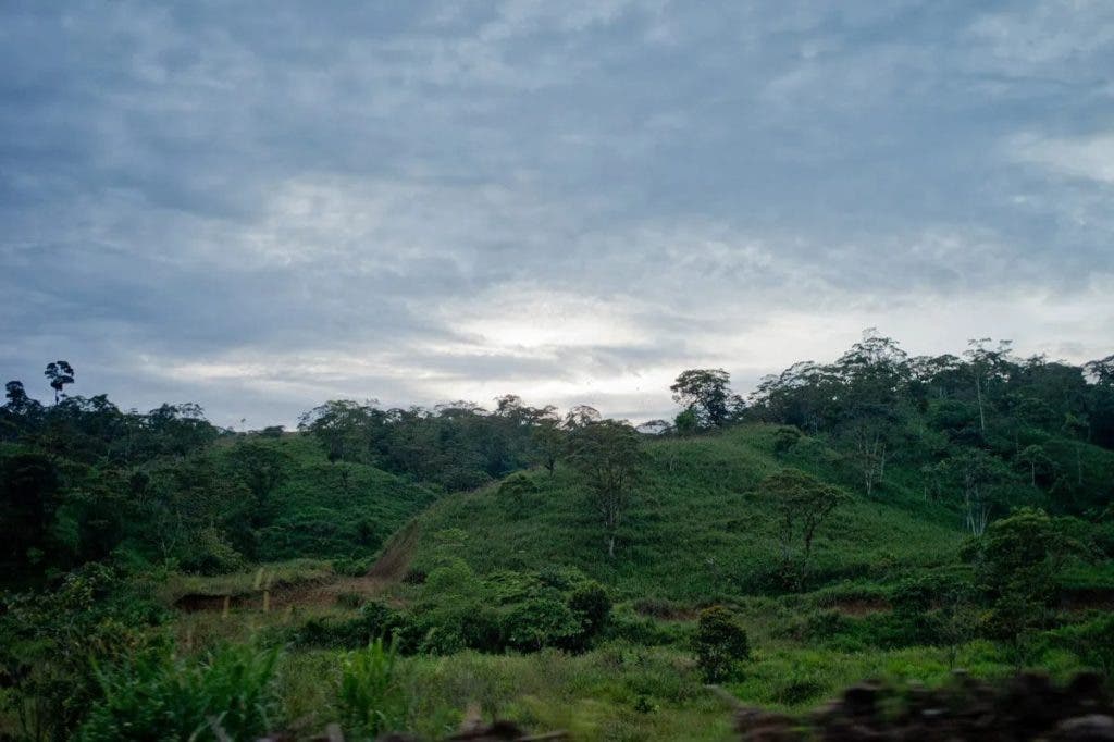 Más de la mitad del PIB global depende de la naturaleza