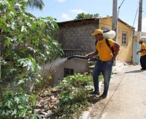 Contra chikungunya: Cuerpo a cuerpo