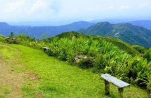 Ambiente afirma protegerá parque