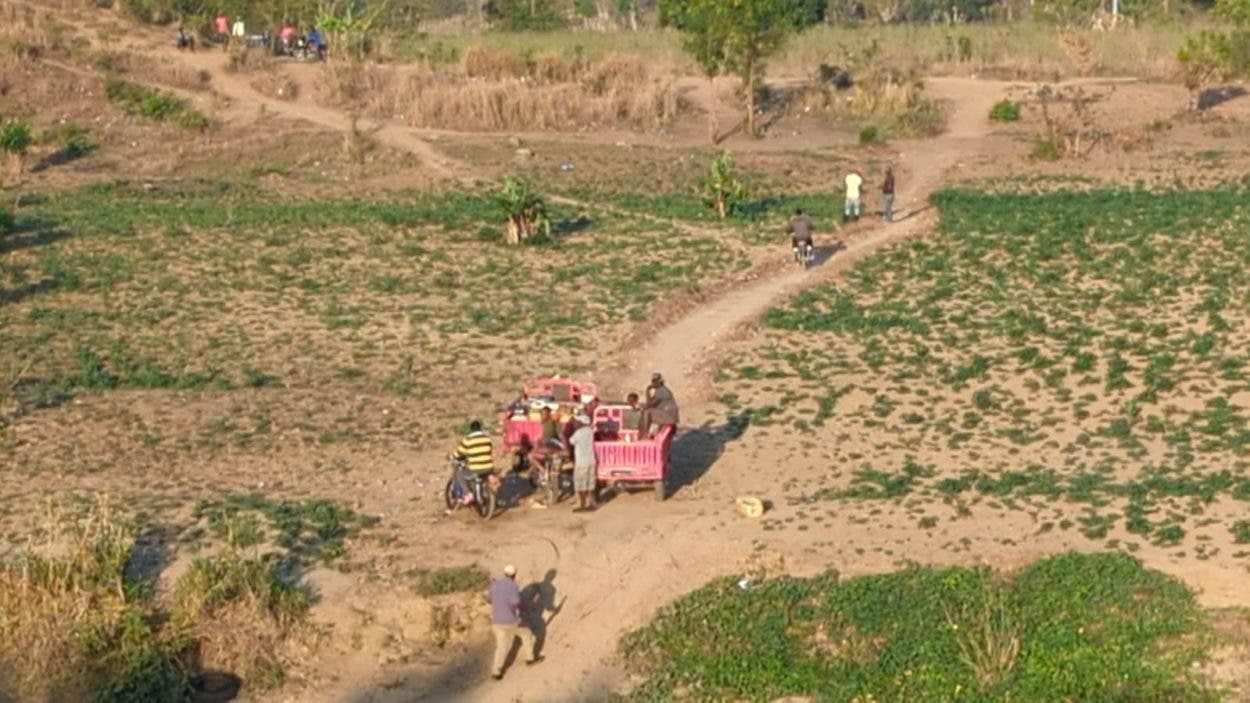 Ganaderos cruzan Haití por río Masacre en busca de 14 vacas robadas