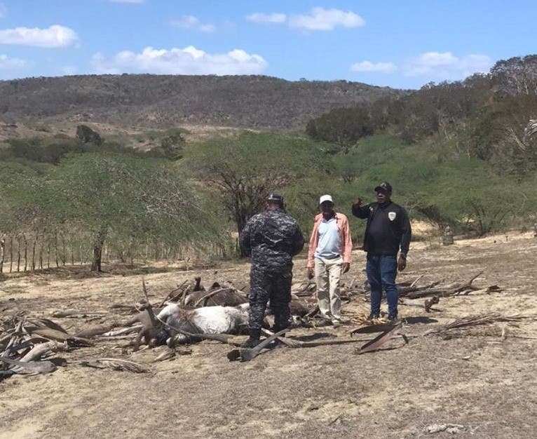 Agentes de la Policía en la finca donde fueron encontrados muertos los burros