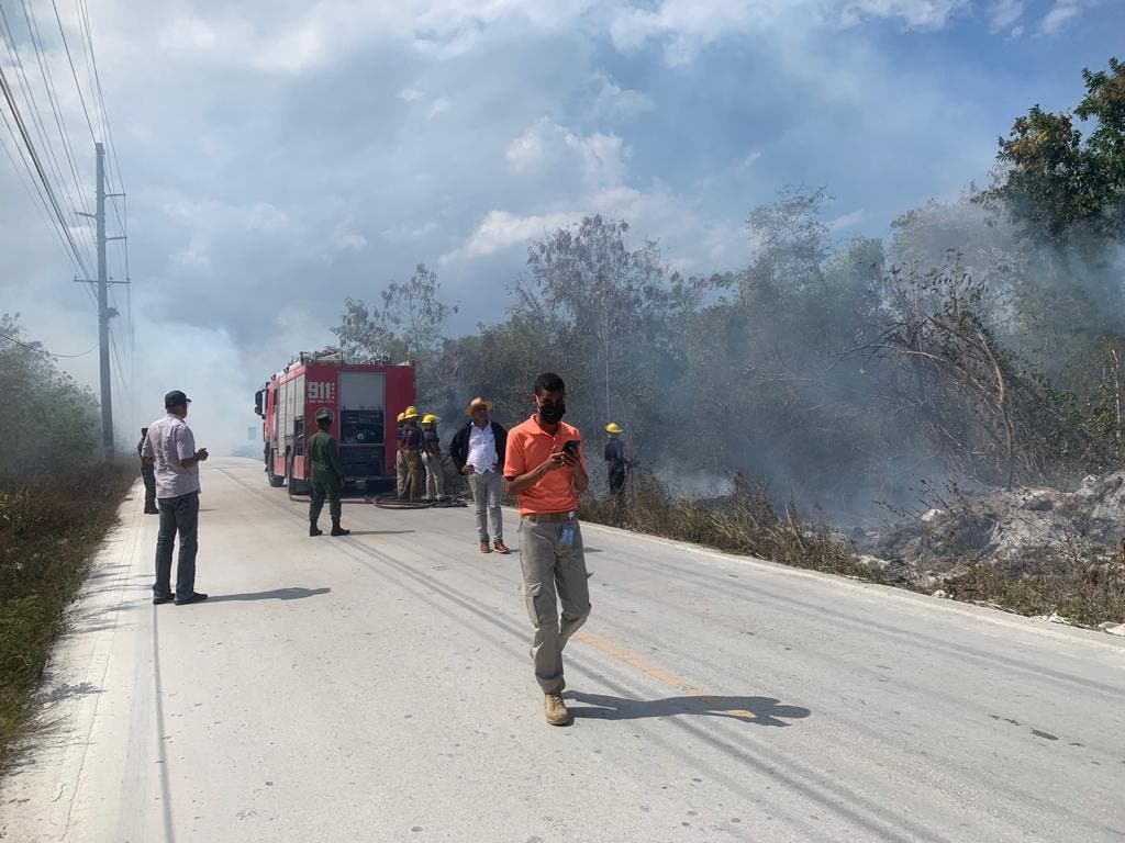 Prisión preventiva contra 9 hombres por incendios forestales en Punta Cana