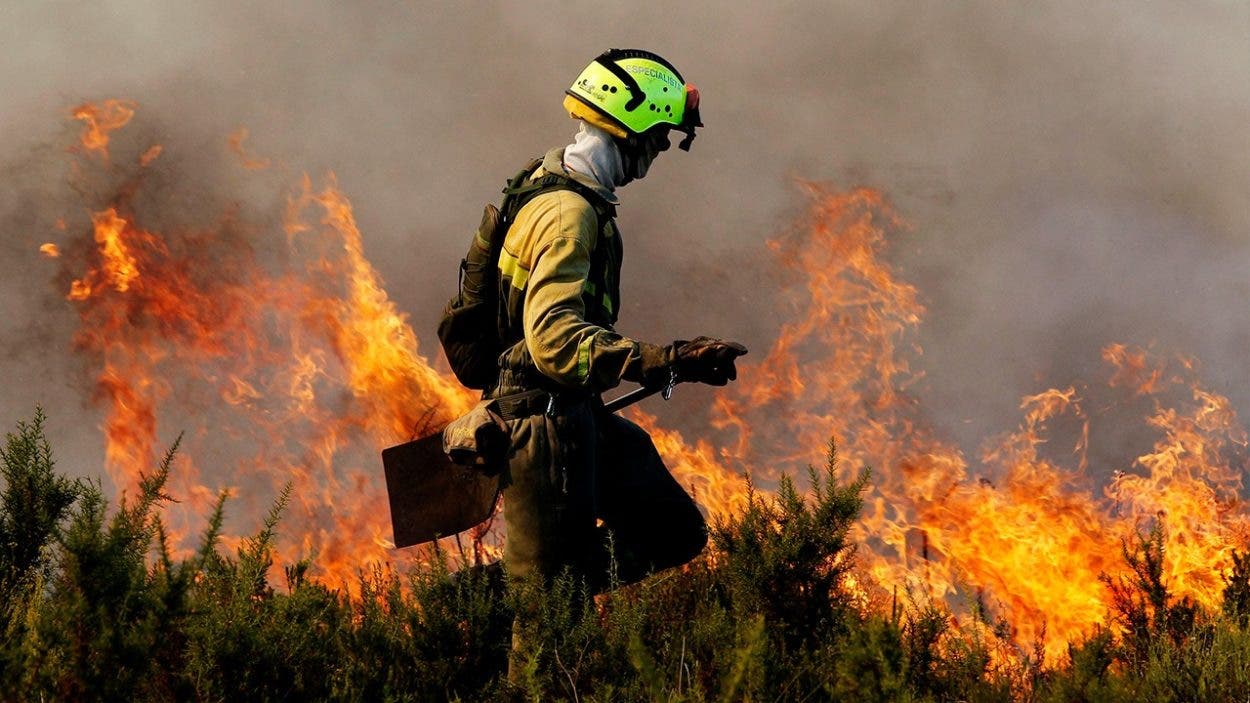 Incendios forestales: Principal amenaza para la desaparición de bosques