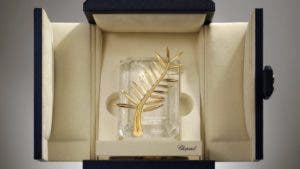 ¿Quién ganará la Palma de Oro de Cannes?
