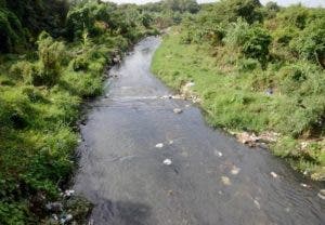 Panorama crítico de agua y bosques RD