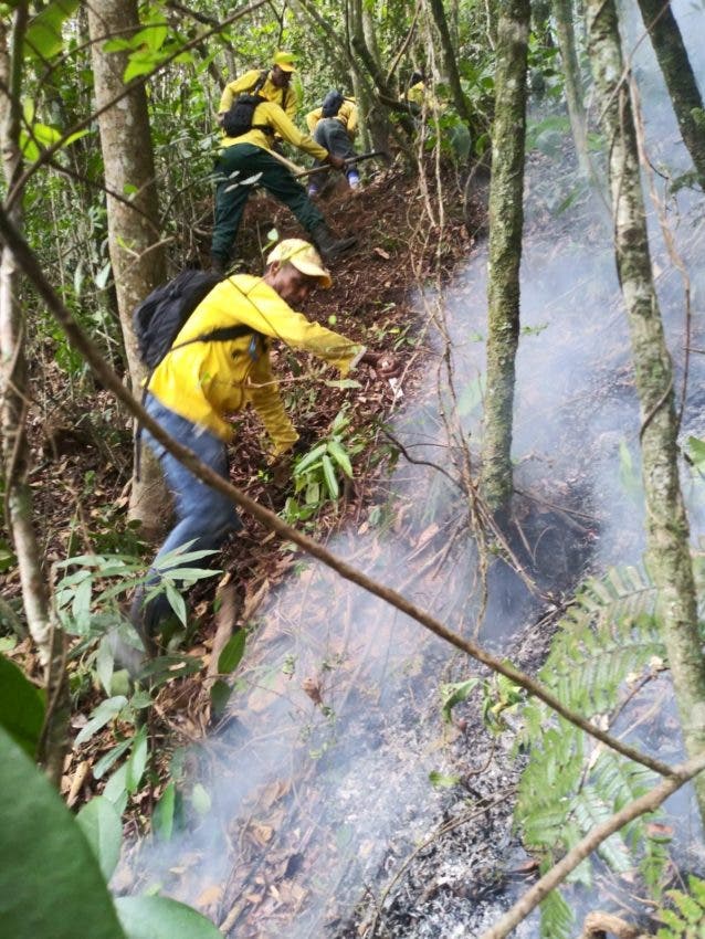 El plan para mitigar los fuegos forestales fue creado por el Ministerio de Defensa conjuntamente con Medio Ambiente y otras instituciones de seguridad del Estado en el C5i