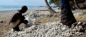 La naturaleza provee