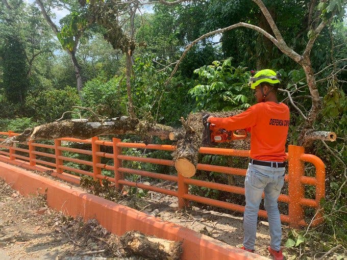 Un árbol cayó en la comunidad de Mata Larga, San Francisco de Macorís producto de las lluvias registrada en la región. Personal de la Defensa Civil procedió a cortarlo y movilizar los escombros.