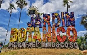 Harán caminata por el Medio Ambiente