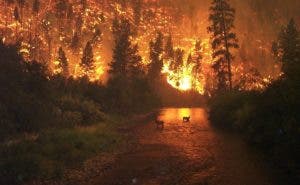 «El Niño» ya azota y durará hasta el 2024, según científicos