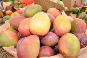 Inicia Feria Expo Mango-2023