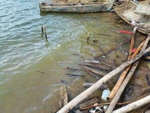 Denuncian muerte de peces en presa de Hatillo