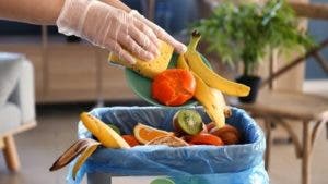 FAO: se incrementa desperdicio comida